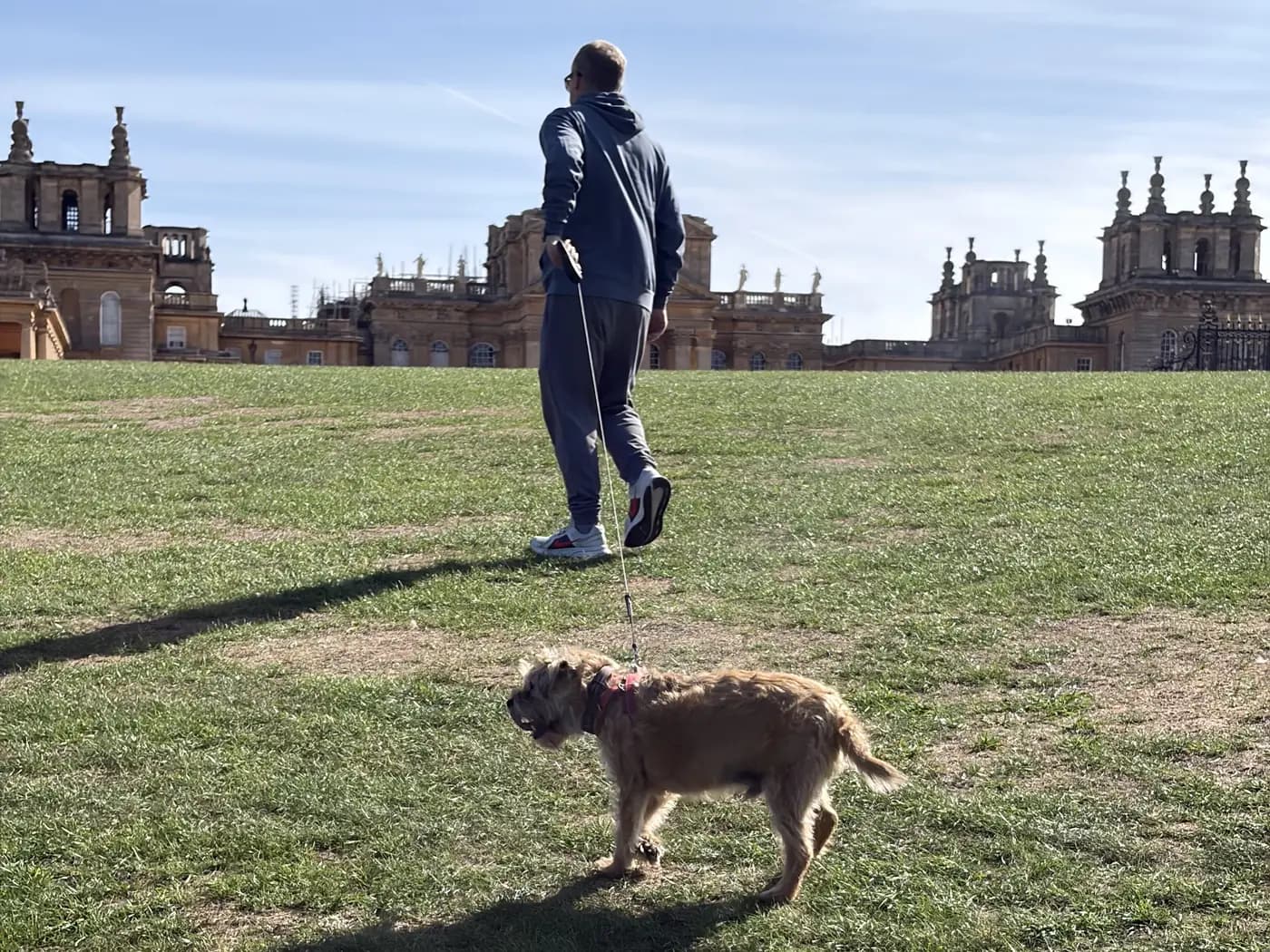 Astro walking across the grass in front of Blenheim Palace with his owner