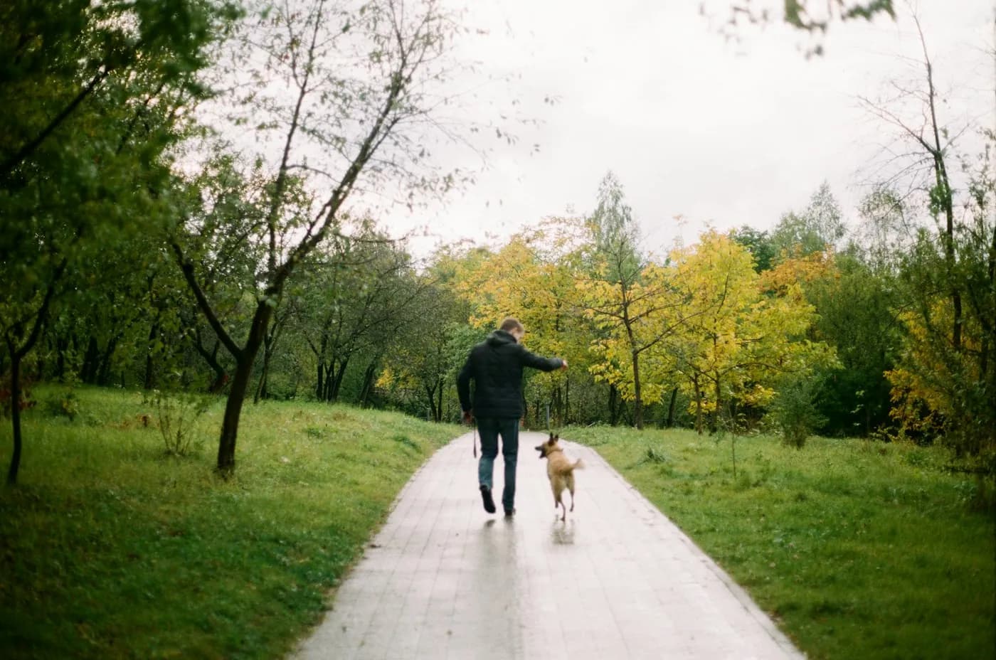 A man walking a dog along a path through a green park